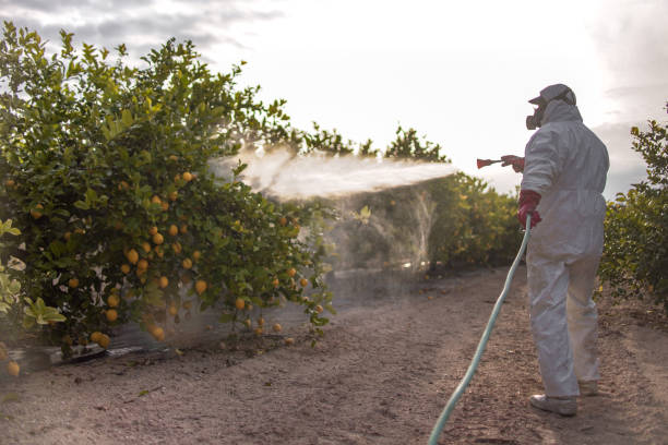 Best Commercial Pest Control Services  in Ignacio, CO