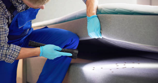 Best Wasp Removal Services  in Ignacio, CO