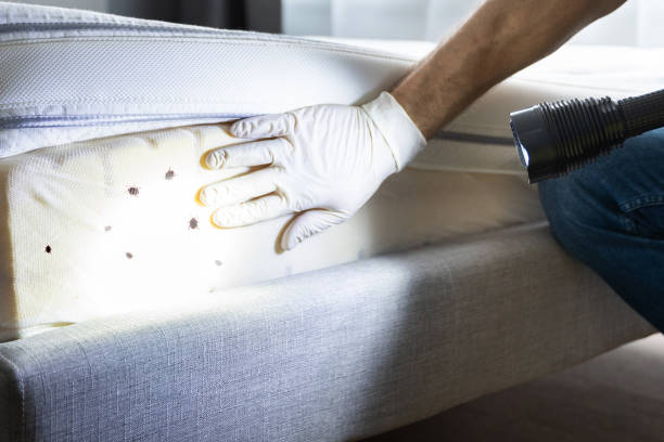 Best Pest Removal Services  in Ignacio, CO