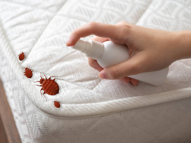 Best Insect Control  in Ignacio, CO