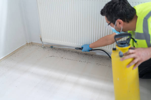 Best Bed Bug Extermination  in Ignacio, CO